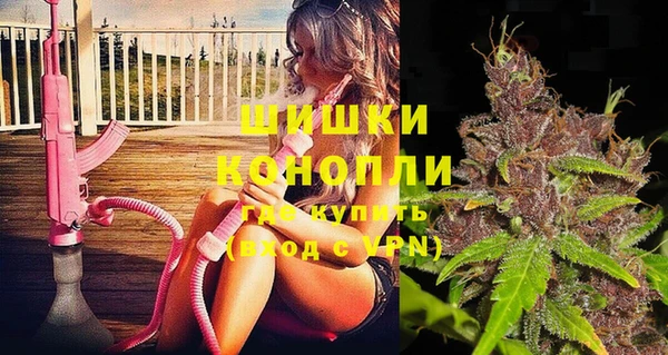 индика Горно-Алтайск