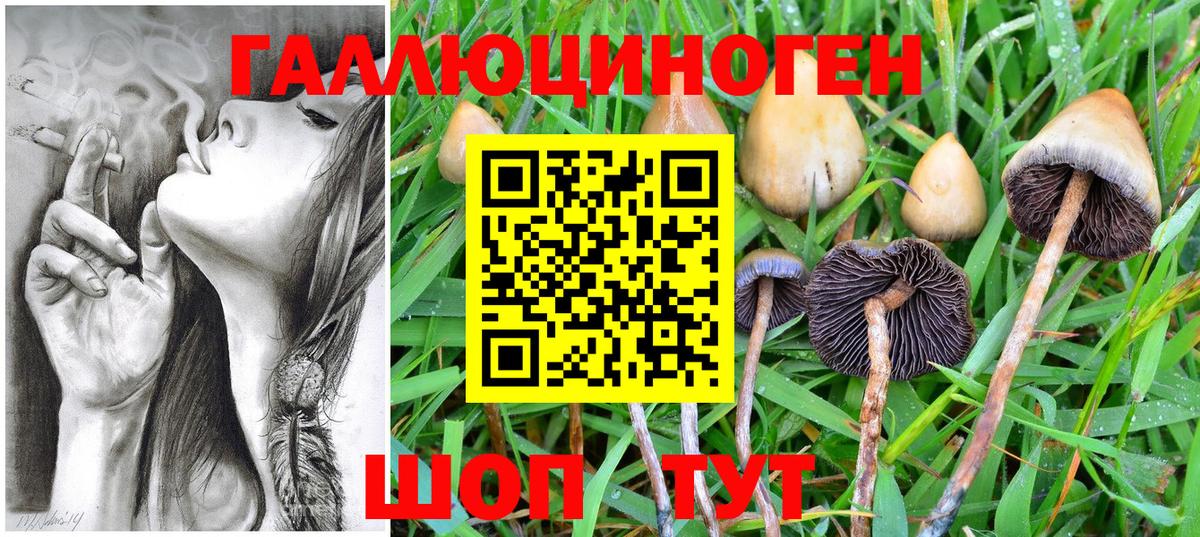 Псилоцибиновые грибы прущие грибы Усолье-Сибирское